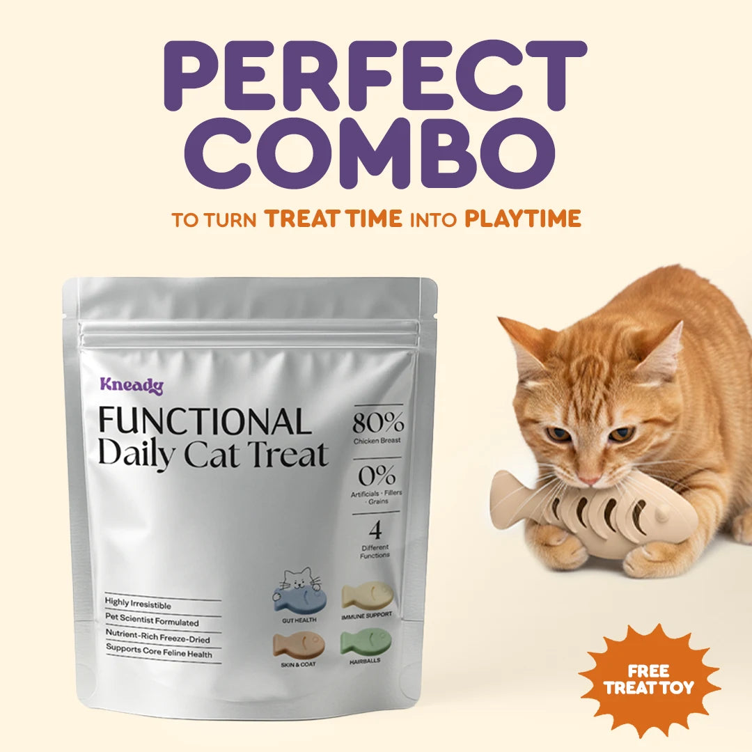Functional Daily Cat Treat - FREE Enrichment Treat Toy