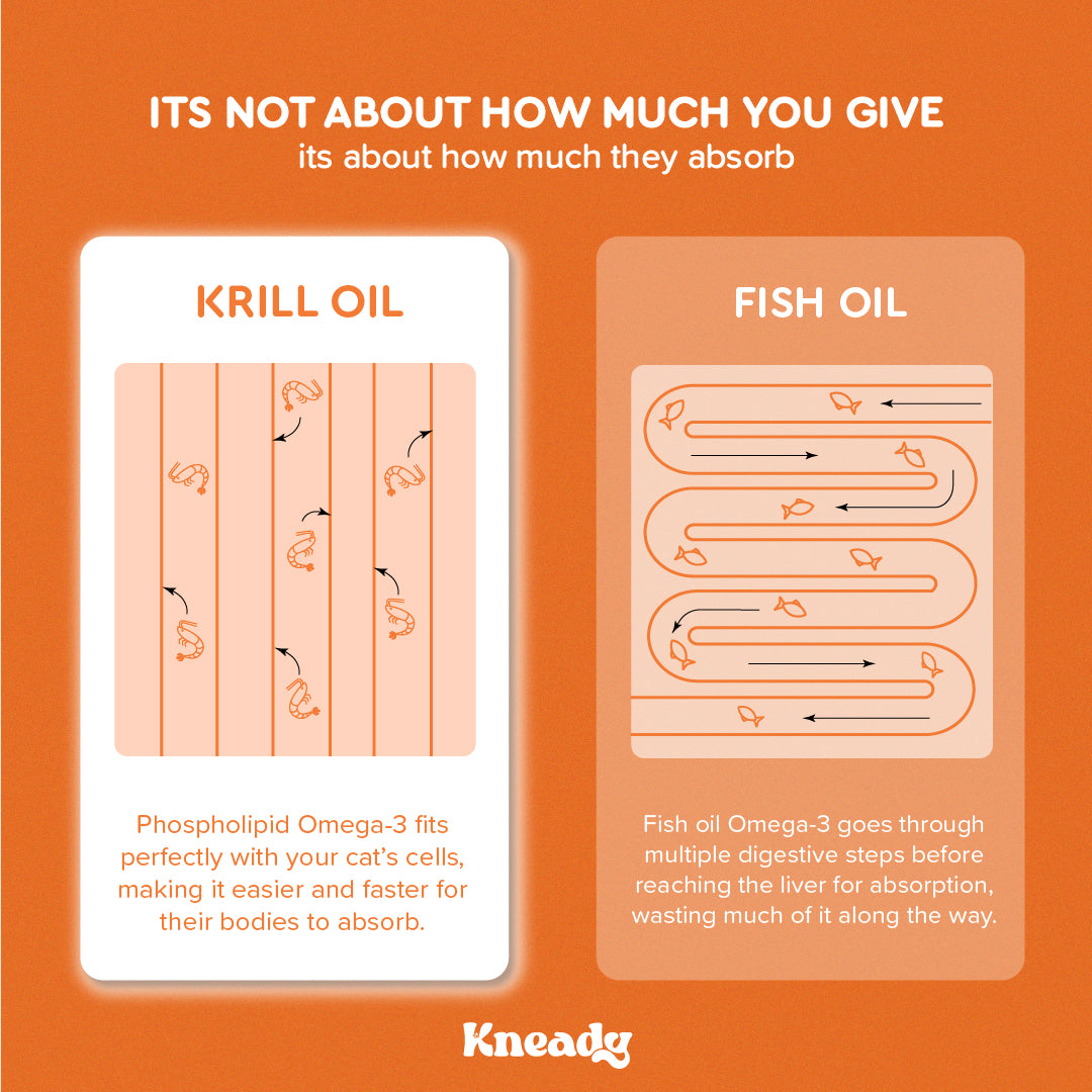 Krillicious Oil