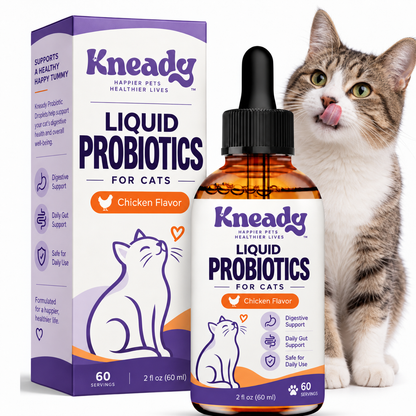 Kneady Liquid Probiotic
