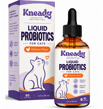 Kneady Liquid Probiotic