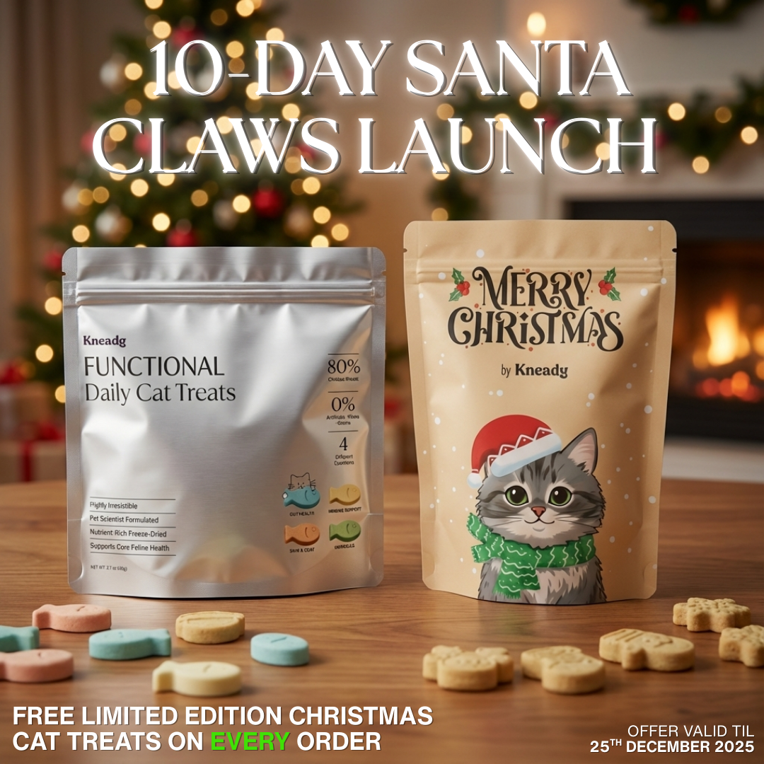 Functional Daily Cat Treats