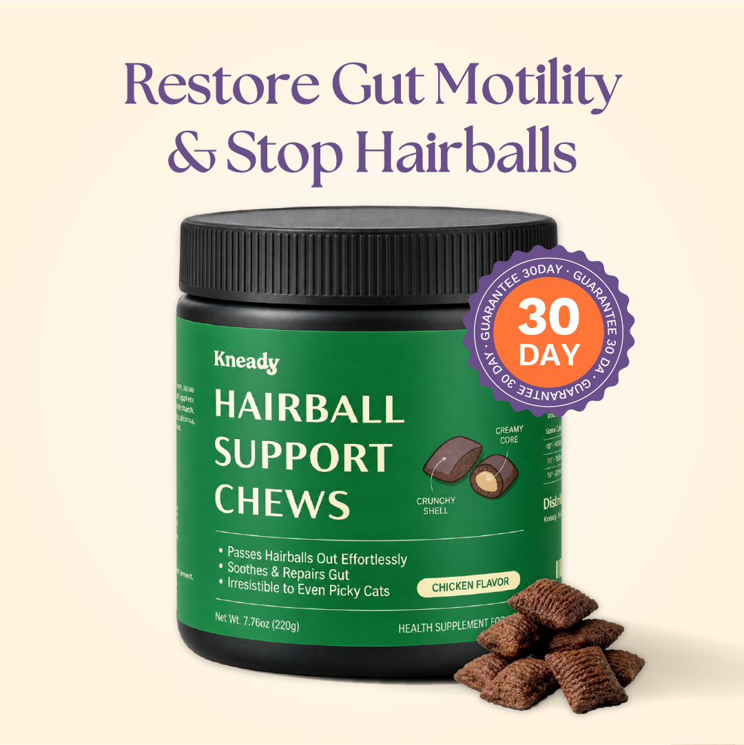 Joint Health Treats