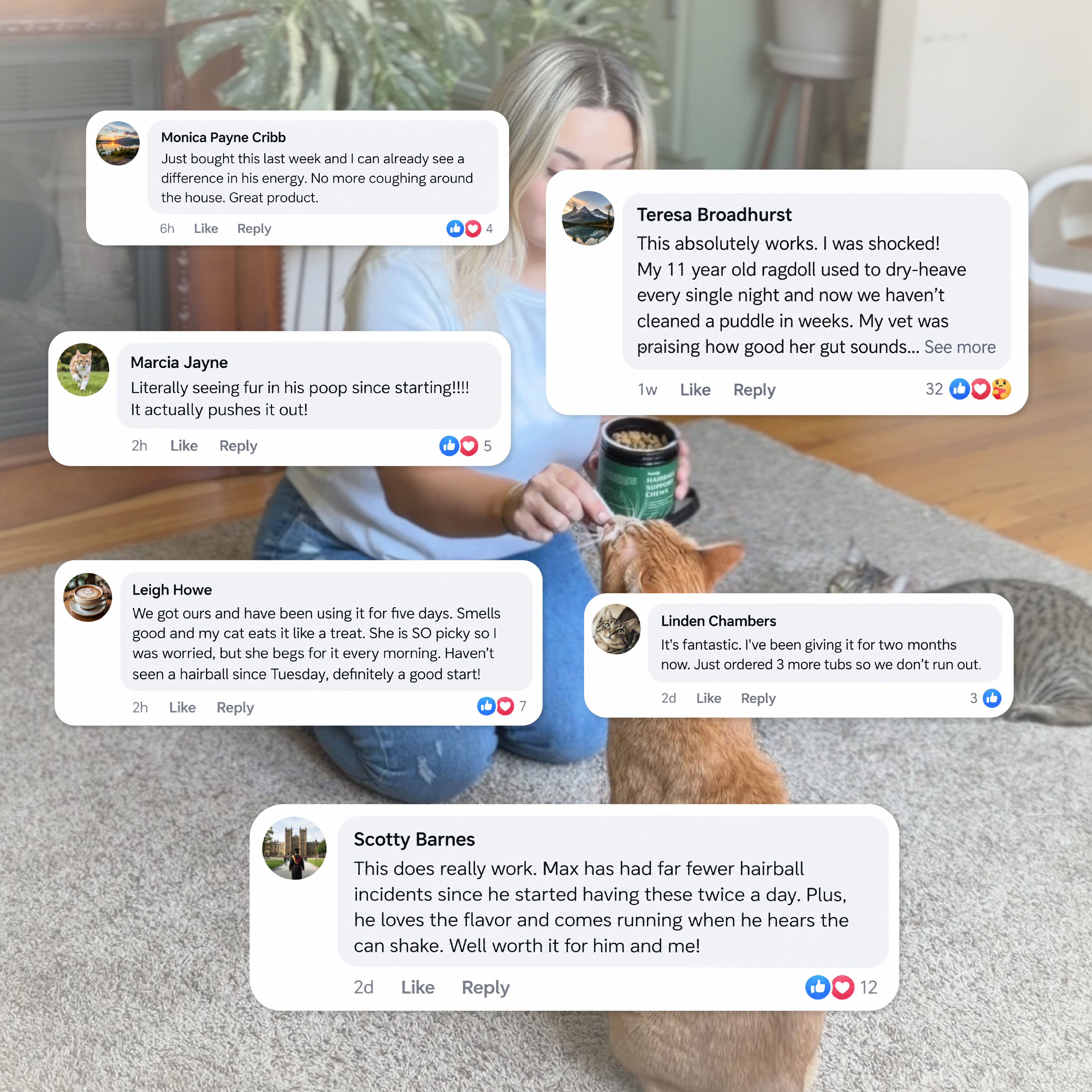 Hairball Support Chews