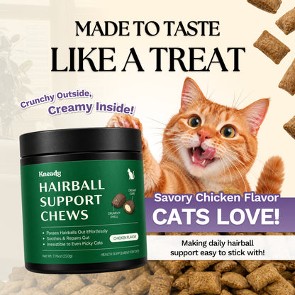 Hairball Support Chews