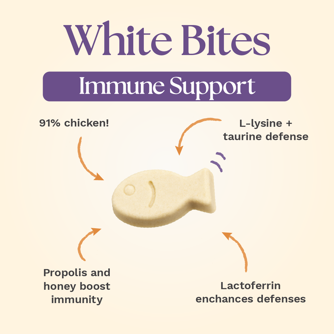 Functional Daily Cat Treats