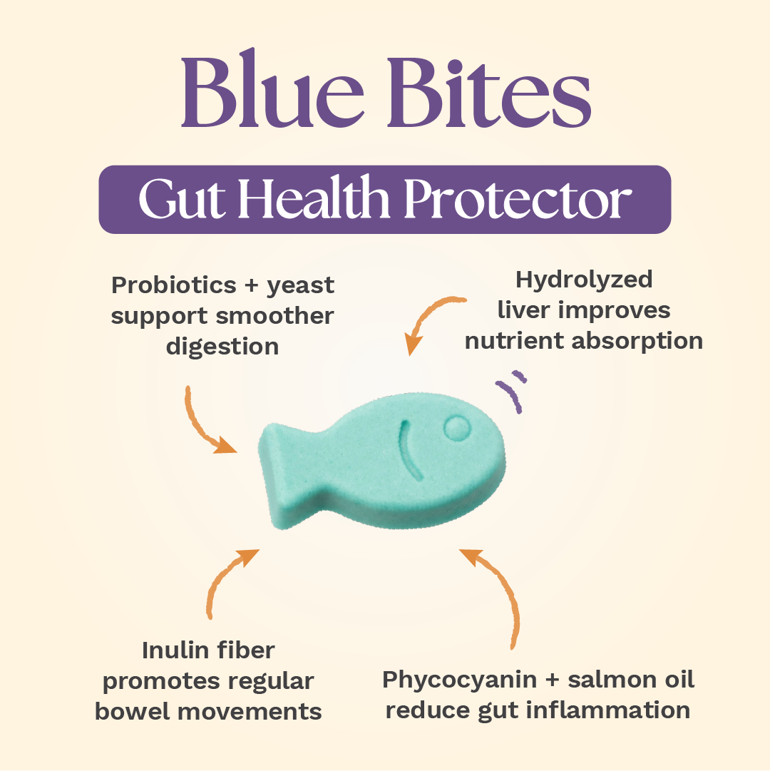 Functional Daily Cat Treats