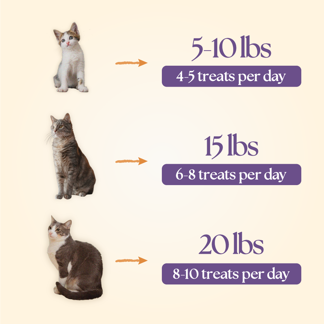 Functional Daily Cat Treats