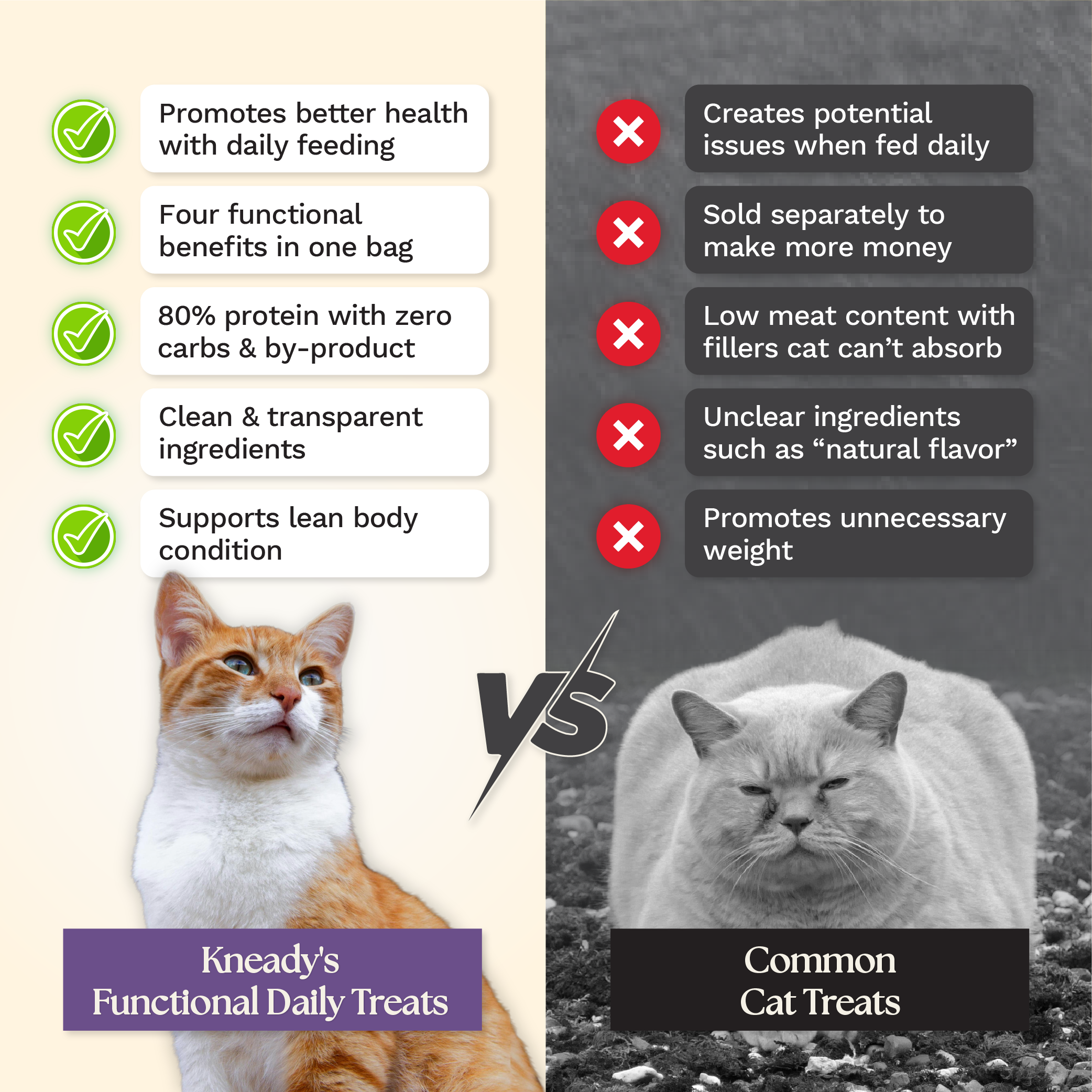 Functional Daily Cat Treats