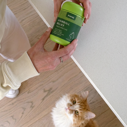 Hairball Relief Tablets
